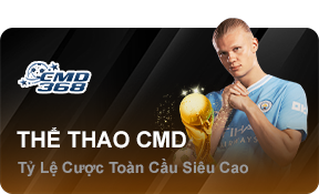 cmd368-sport-23wincom-art