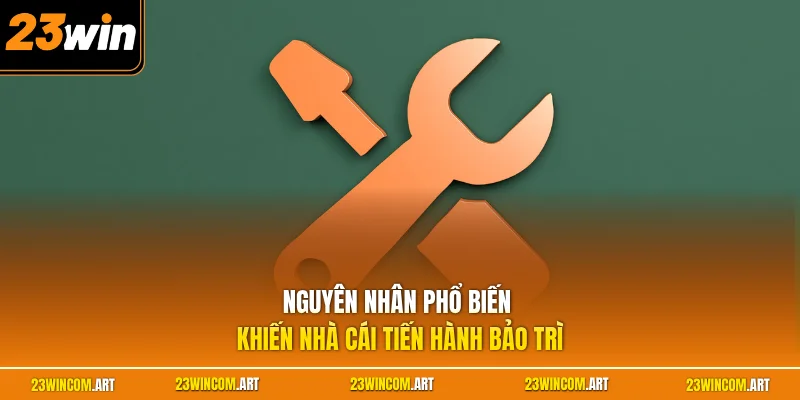 Nguyên nhân phổ biến khiến nhà cái tiến hành bảo trì 
